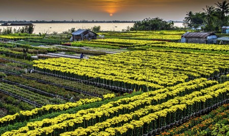 LÃ ng hoa thá»©c giáº¥c