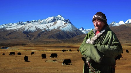 Herdsman