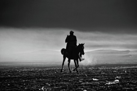 Alone horse rider