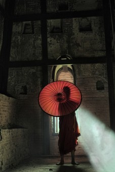 backlight