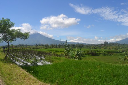 View in Cintarakyat