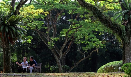 The Heritage Garden