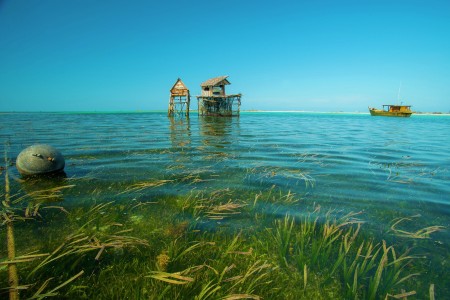 The fishing village