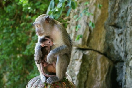 A mother and her baby