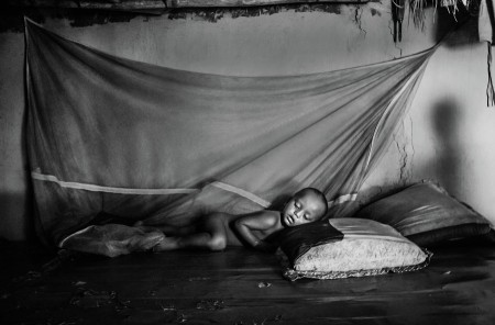 Asleep Little Fellow