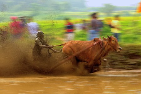 Berpacu dalam lumpur