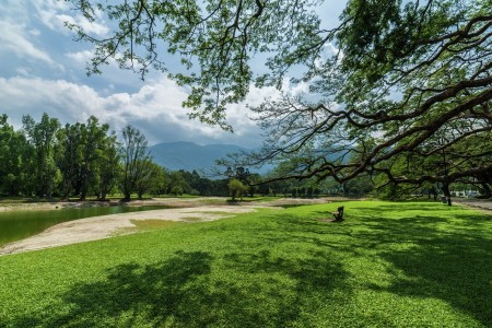 Taiping Lake Garden