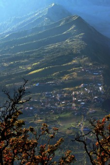 BROMO VILAGE