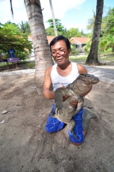 Pulau Biawak