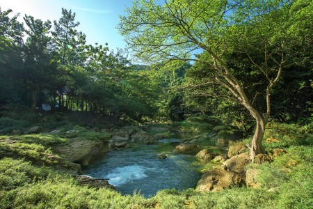 Sungai Cikaso