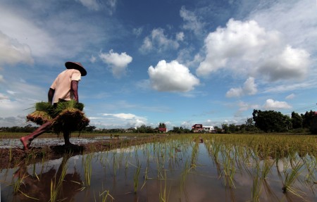 The Farmer