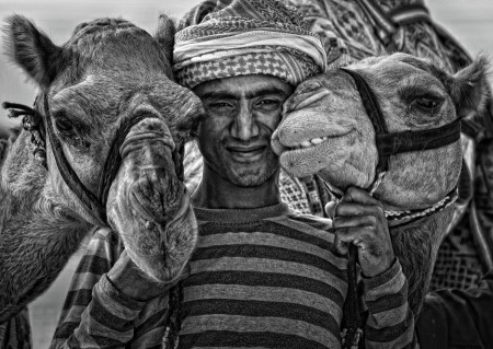 Camel Herder