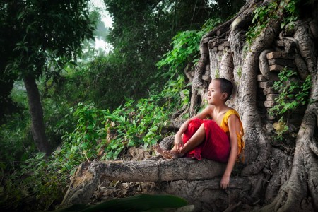 The Tree of Life