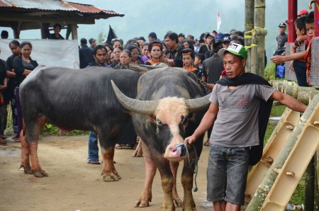 Menunggu Giliran Bertamu Pada Rambu Solo