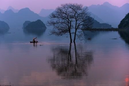 In the afternoon absent