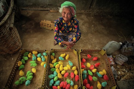 Chicks seller