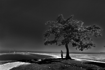 the last man...