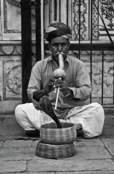 Jaipur India