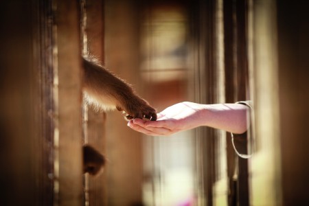 When both world meets