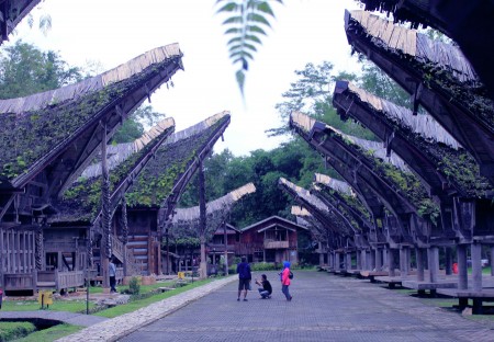 ke'te kesu TORAJA