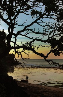 Pantai Kukup Pagi Hari