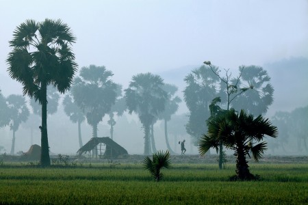 peaceful countryside