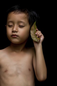 Telepon Daun