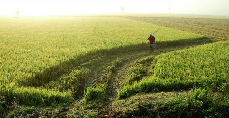 Äá»’NG VÃ€NG NGÃ€Y Má»šI