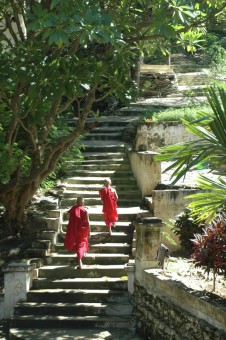 Go to pagoda.