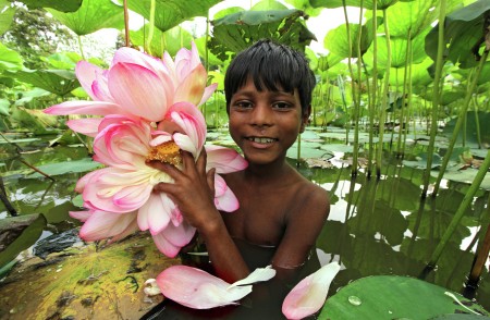Lotus Boy