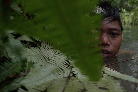 Anak Rimba