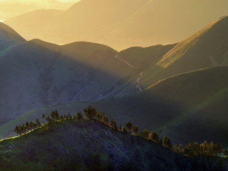 Heavenly Light From Tele