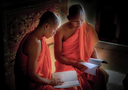 My fellow practitioners