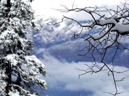 fine art of nature
