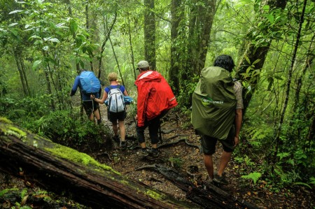 Entering Senaru Rain Forest