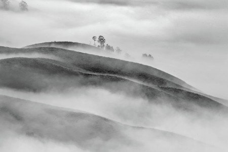 Misty Land