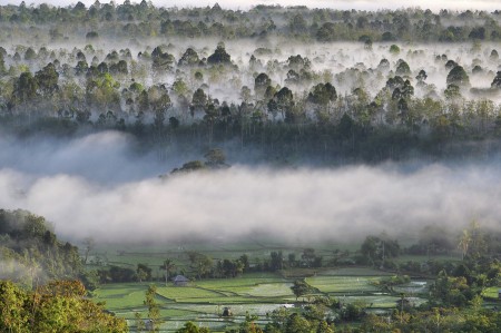 kabut pagi geredai
