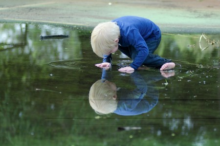 Self Reflection