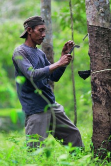 Patience of Farmer