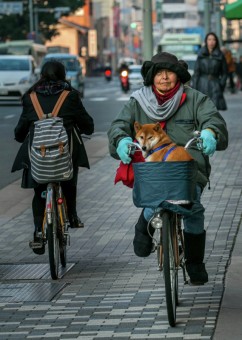 Daily activities in japan