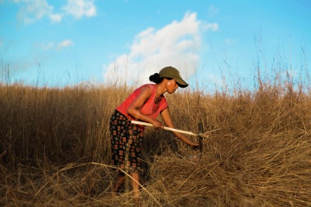 Bekerja