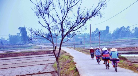 The path to the Market