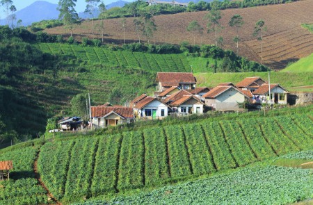 Rumah dilereng bukit