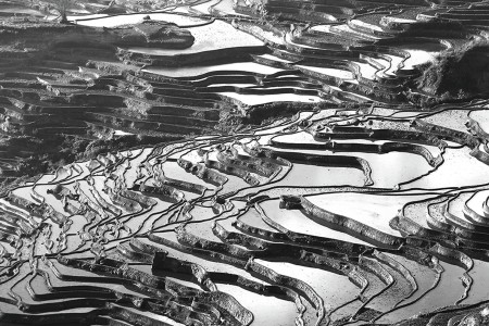 Terraces