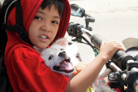 Boy and His Best Friend