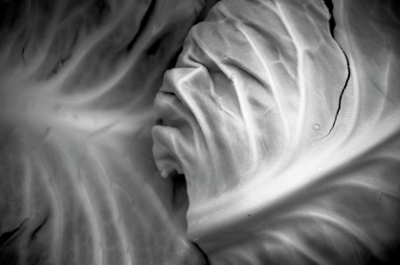 Cabbage Leaves