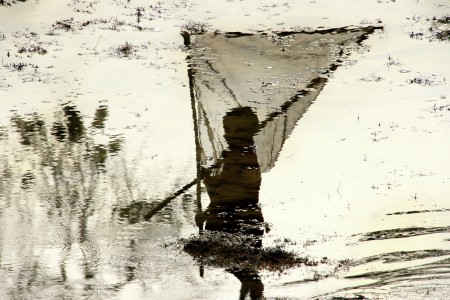 Bonding with Water