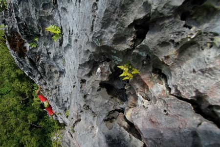 Stone Cliffs and Rock Climbers