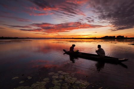 Cham Fisher