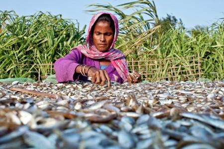 A frying fish worker